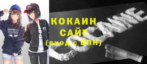 индика Богородск