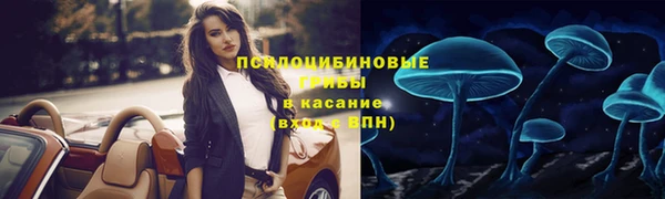 кристаллы Богданович