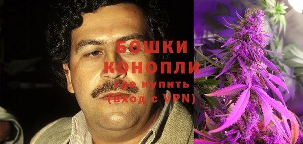 индика Богородск