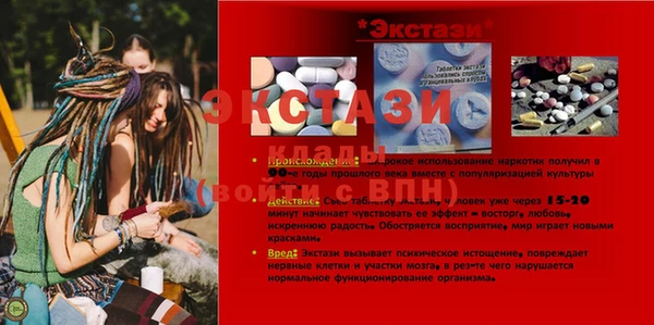 индика Богородск