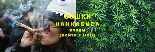 индика Богородск