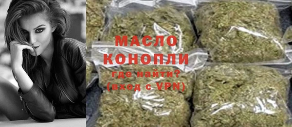 индика Богородск