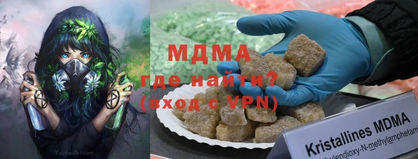 индика Богородск
