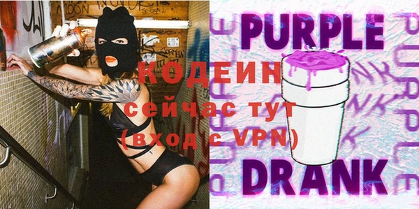 индика Богородск