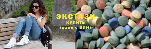 индика Богородск